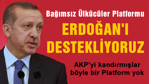 Kendilerine Bağımsız Ülkücü diyen bir gurup Erdoğan'ı desteklediklerini açıkladı