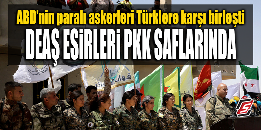 ABD’nin paralı askerleri Türklere karşı birleşti! DEAŞ esirleri PKK saflarında