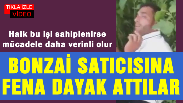 Bonzai satıcısı olduğu iddia edilen gence dayak!