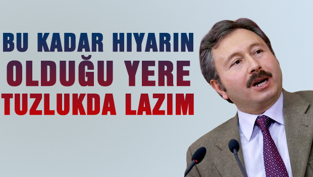 Bu Kadar Hıyarın Olduğu Yerde Tuzluk da Lazım