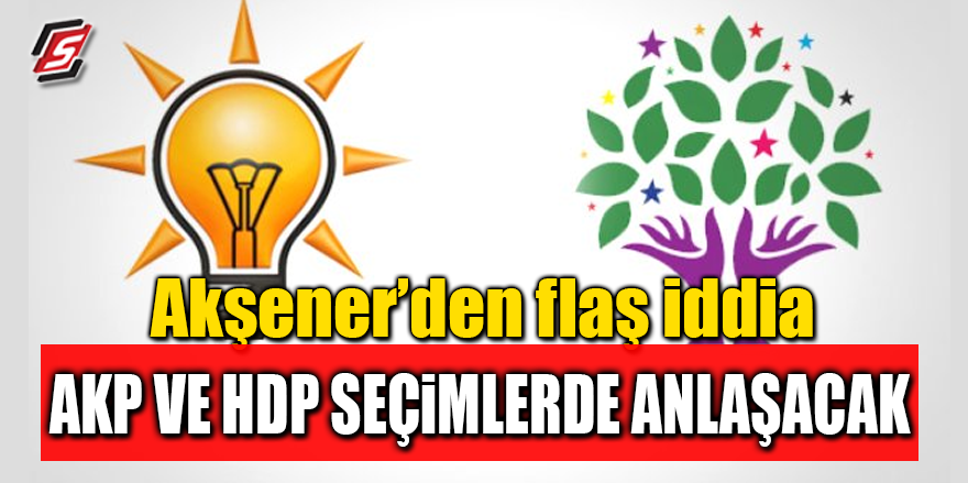 'AK Parti ve HDP seçimlerde anlaşacak'