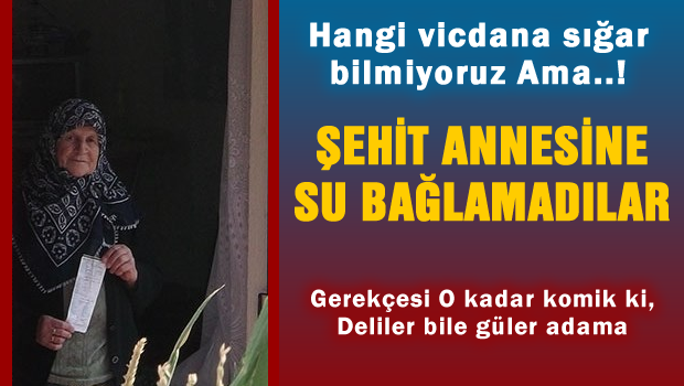 Şehit annesine su bağlamadılar, gerekçe tam komedi