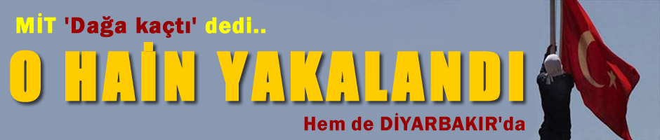MİT 'dağa kaçtı' dedi, bayrak indiren zanlı Diyarbakır'da yakalandı