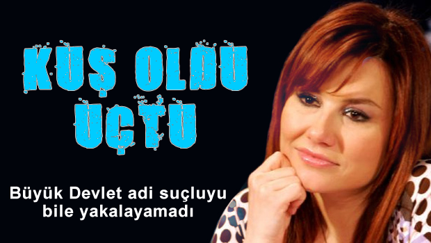 Deniz Seki nerede?
