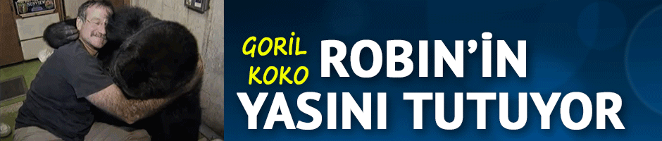 Goril Koko da Robin Williams'ın yasını tutuyor