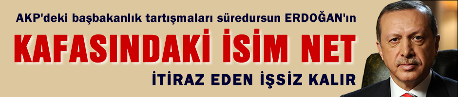 Erdoğan'ın kafasındaki modelde Başbakan...!