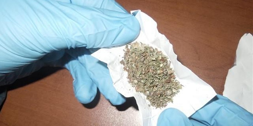 Bonzai'ye çok ağır ceza geliyor