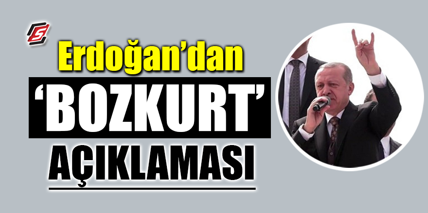Erdoğan'dan ‘Bozkurt’ açıklaması