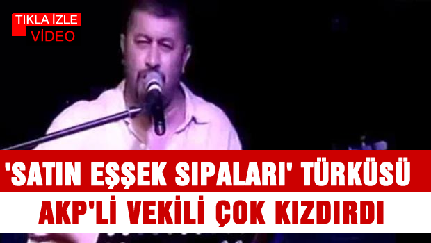 'Eşek sıpası' AKP'li vekili çok kızdırdı