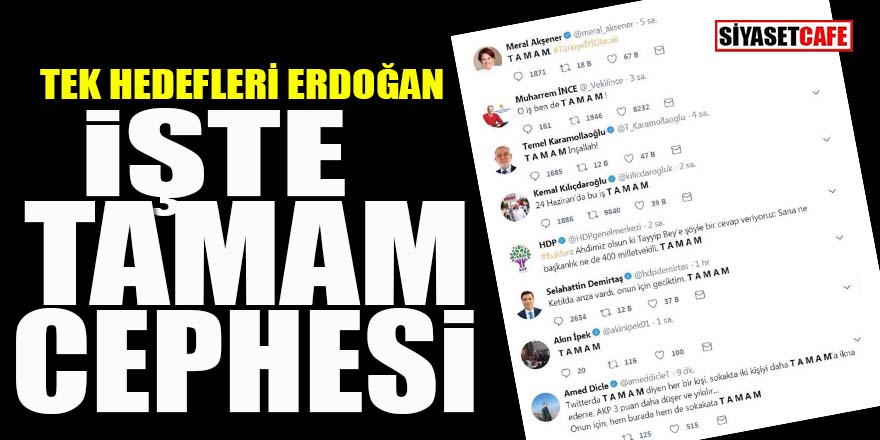 İşte "tamam" cephesi: Tek hedefleri Erdoğan!