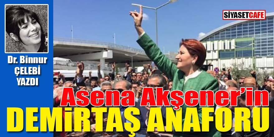 Asena Akşener’in Demirtaş anaforu!