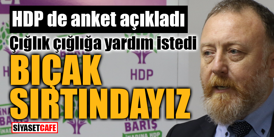 HDP de anket açıkladı çığlık çığlığa yardım istedi! "Bıçak sırtındayız"