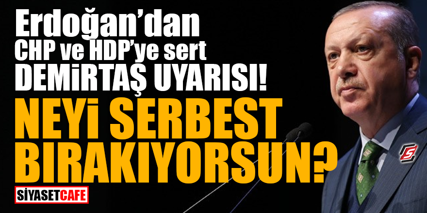 Erdoğan’dan CHP ve HDP'ye sert Demirtaş uyarısı! Neyi serbest bırakıyorsun?