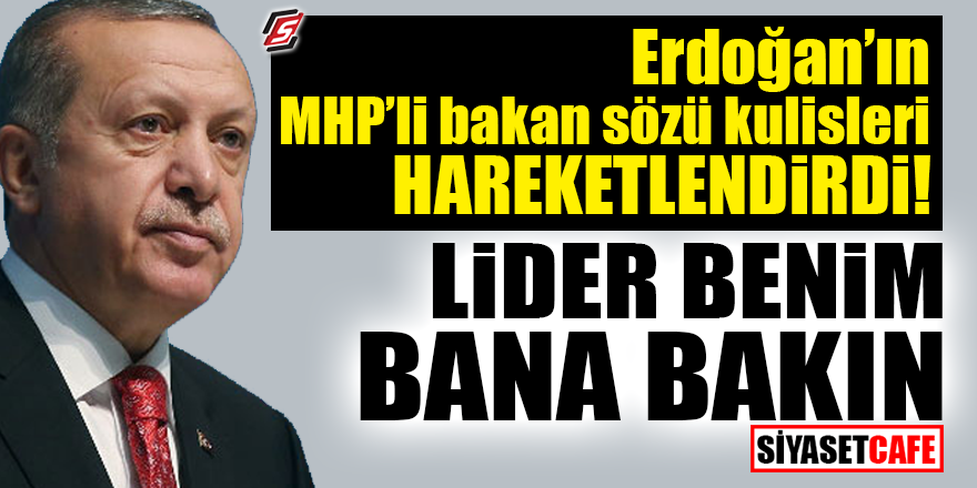 Erdoğan'ın MHP'li bakan sözü kulisleri hareketlendirdi! 'Lider benim bana bakın'