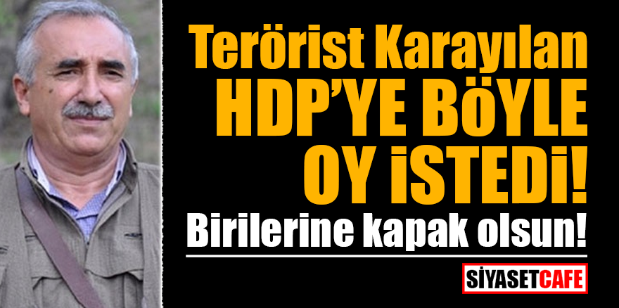 Terörist Karayılan HDP'ye böyle oy istedi! Birilerine kapak olsun