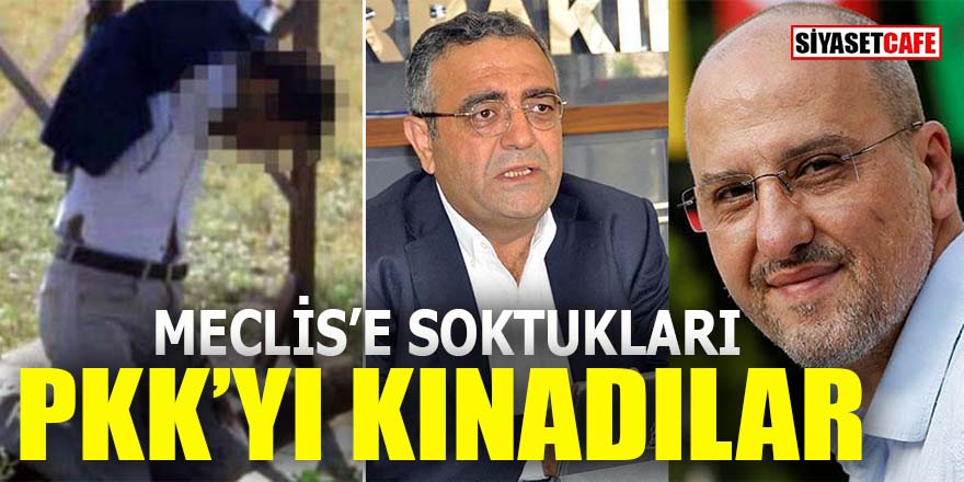 Meclis’e soktukları PKK’yı kınadılar!
