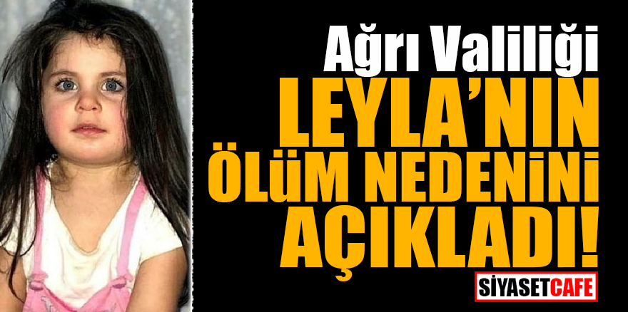 Ağrı Valiliği Leyla Aydemir’in ölüm nedenini açıkladı