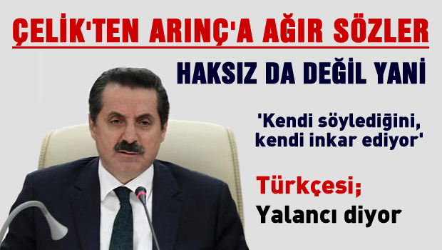 Bakan Çelik'ten, Arınç'a ağır sözler