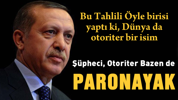Erdoğan 'şüpheci, otoriter ve bazen paranoyak'