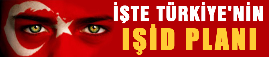 İşte Türkiye'nin IŞİD PLANI