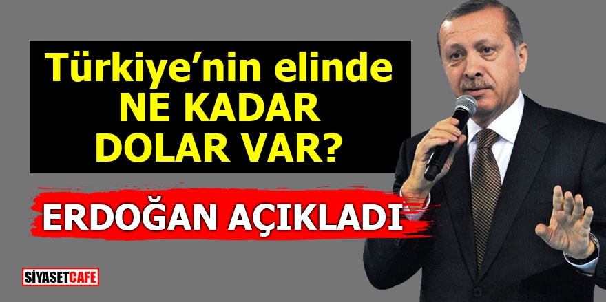 Türkiye’nin elinde ne kadar dolar var? Erdoğan açıkladı