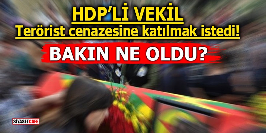 HDP’li vekil terörist cenazesine katılmak istedi! Bakın ne oldu?