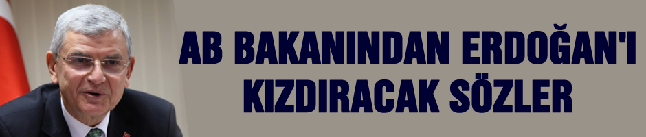 AB Bakanı Erdoğan'ı kızdıracak