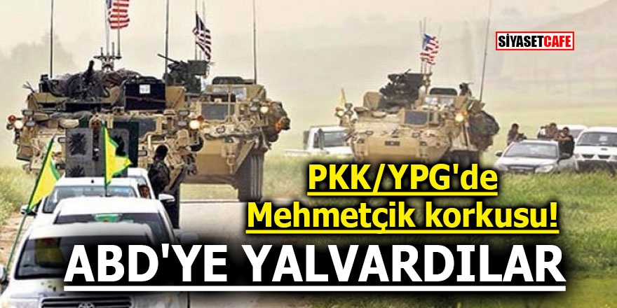PKK/YPG'de Mehmetçik korkusu! ABD'ye yalvardılar