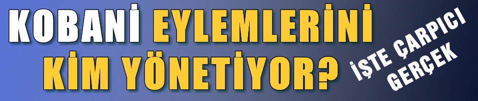 Kobani eylemlerini kim organize ediyor