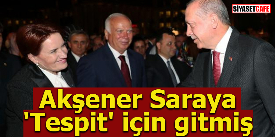 Akşener Saraya 'Tespit' için gitmiş