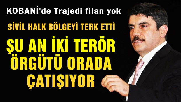 Yasin Aktay 'Kobane'de gerçek bir trajedi yok'