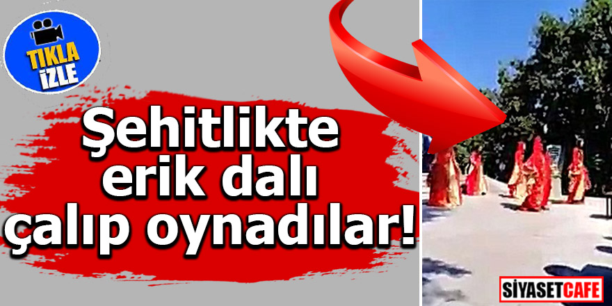 Şehitlikte erik dalı çalıp oynadılar!