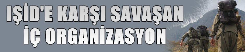 ABD'ye göre PKK 'iç organizasyon'