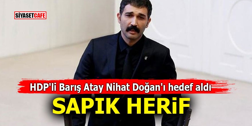 HDP'li Barış Atay Nihat Doğan'ı hedef aldı! SAPIK HERİF