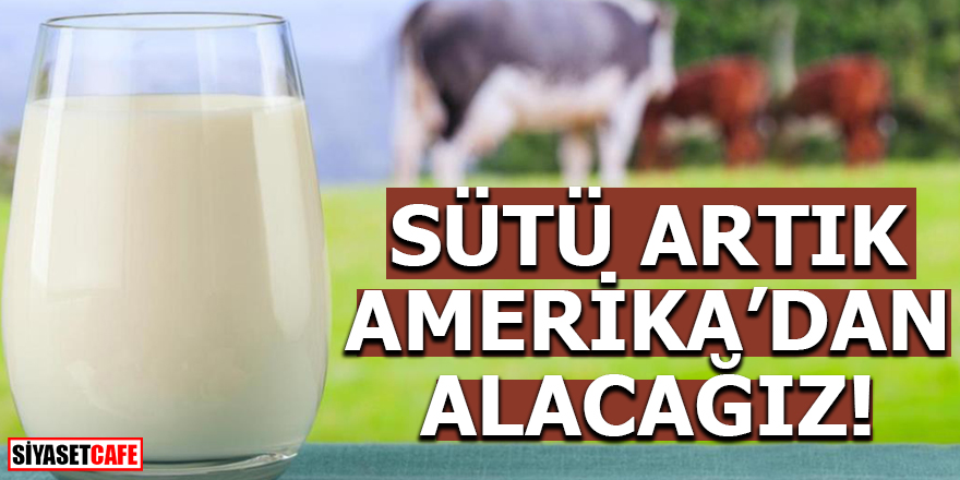 Sütü artık Amerika'dan alacağız!