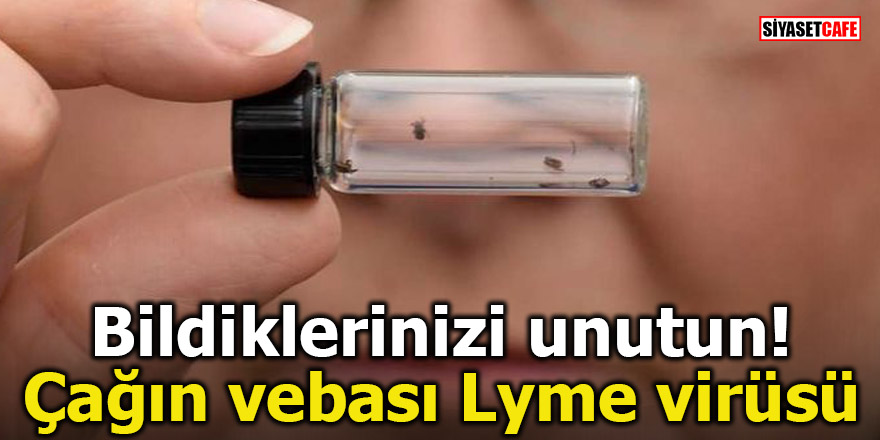 Bildiklerinizi unutun! Çağın vebası Lyme virüsü