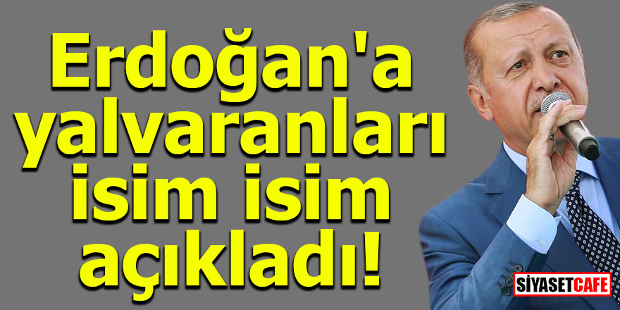 Erdoğan'a yalvaranları isim isim açıkladı!