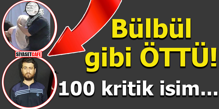 MİT operasyonuyla yakalanan terörist bülbül gibi öttü!