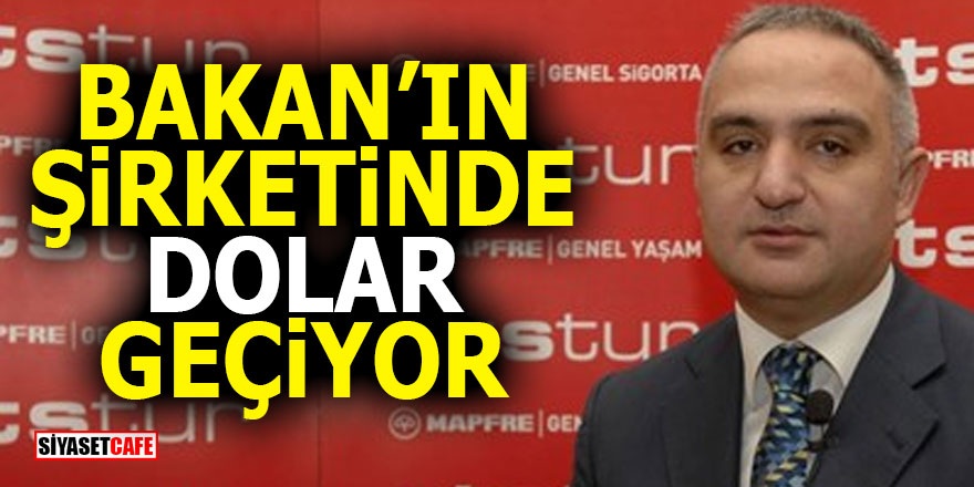 Bakan'ın şirketinde dolar geçiyor