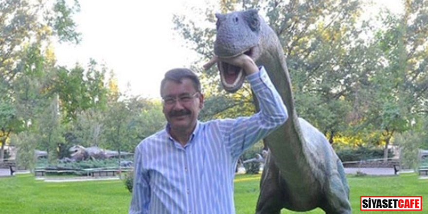 Gökçek'in dinozorları Trabzon'a gönderildi!