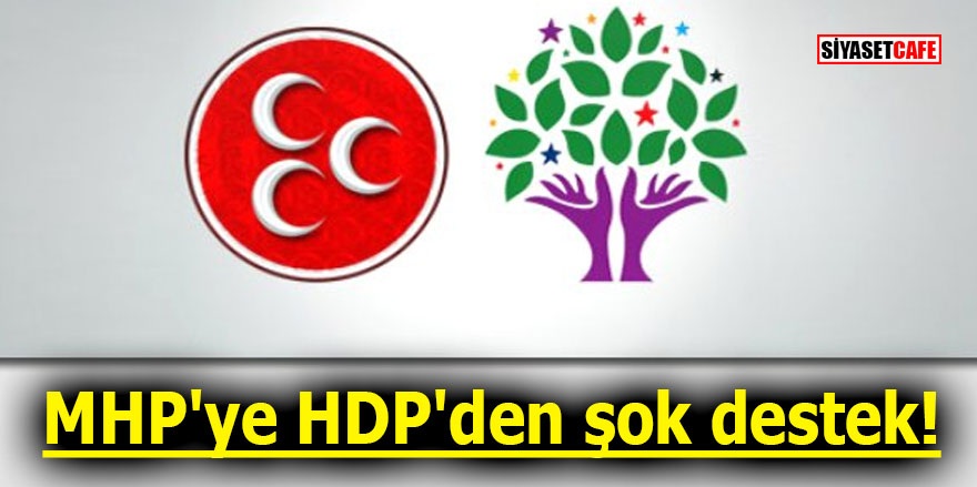 MHP'ye HDP'den şok destek!