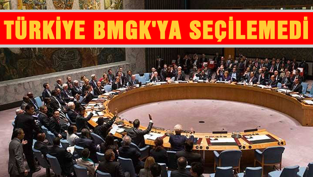 Türkiye BMGK'ya seçilemedi