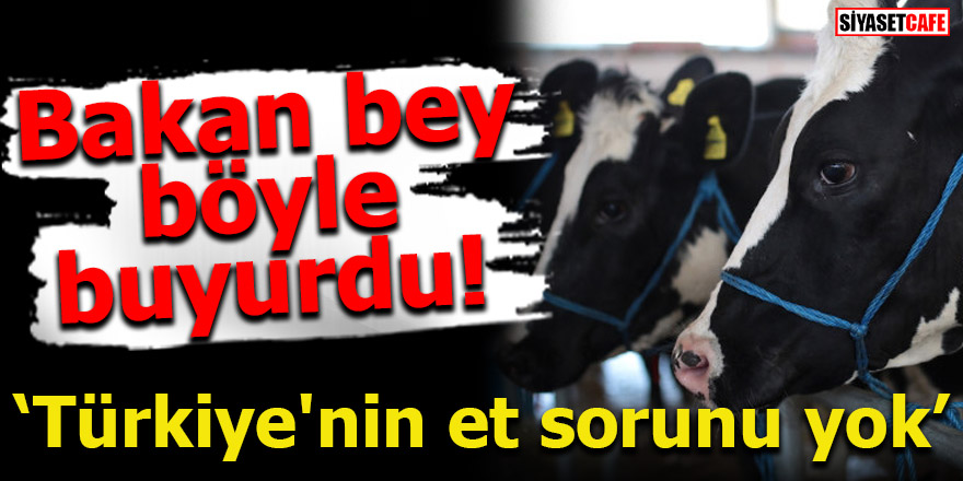 Bakan bey böyle buyurdu! Türkiye'nin et sorunu yok