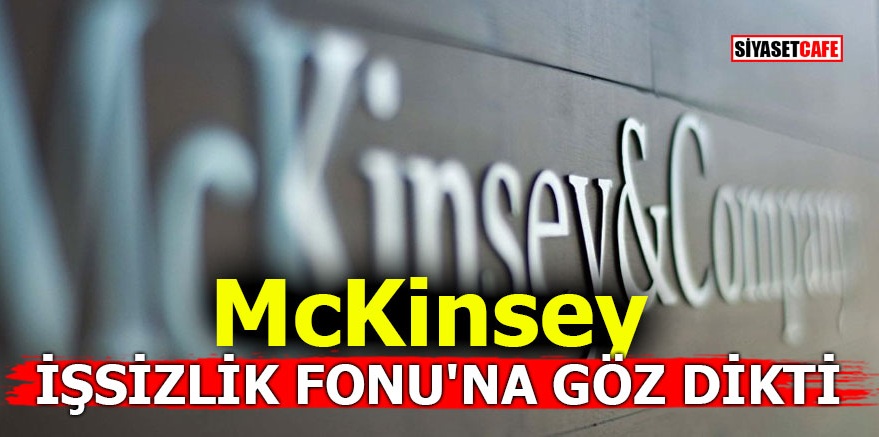 McKinsey İşsizlik Fonu'na göz dikti