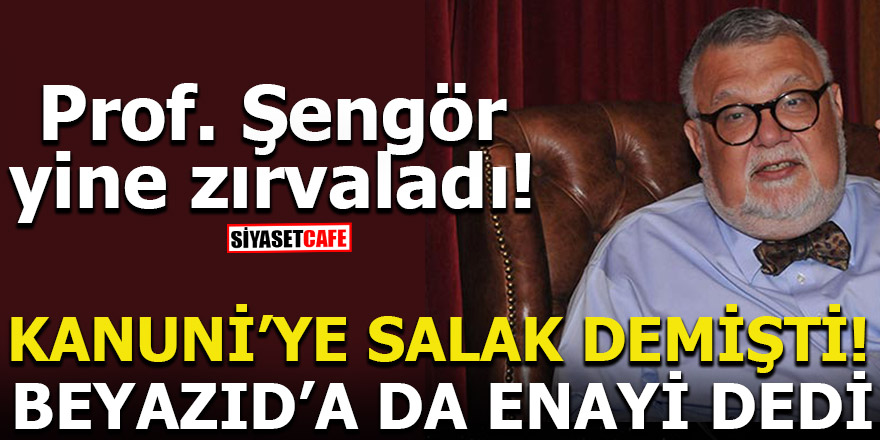 Prof. Şengör: Yıldırım Beyazıd kahraman falan değildir, enayidir