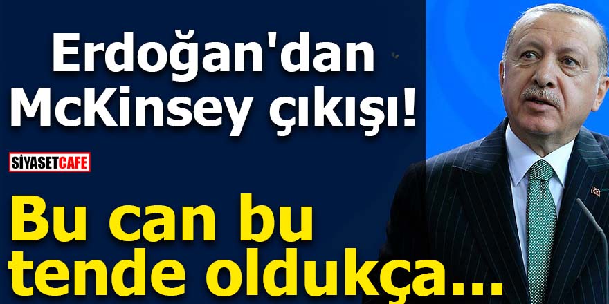 Erdoğan'dan şok McKinsey çıkışı! Bu can bu tende oldukça
