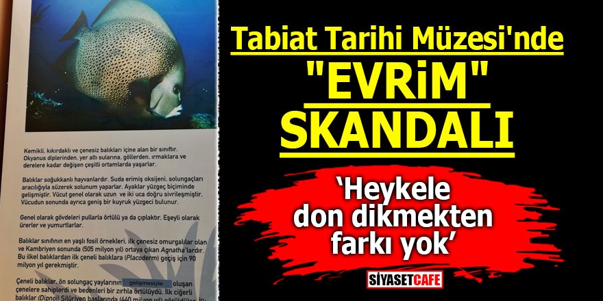 Tabiat Tarihi Müzesi'nde "evrim" skandalı! Heykele don dikmekten farkı yok