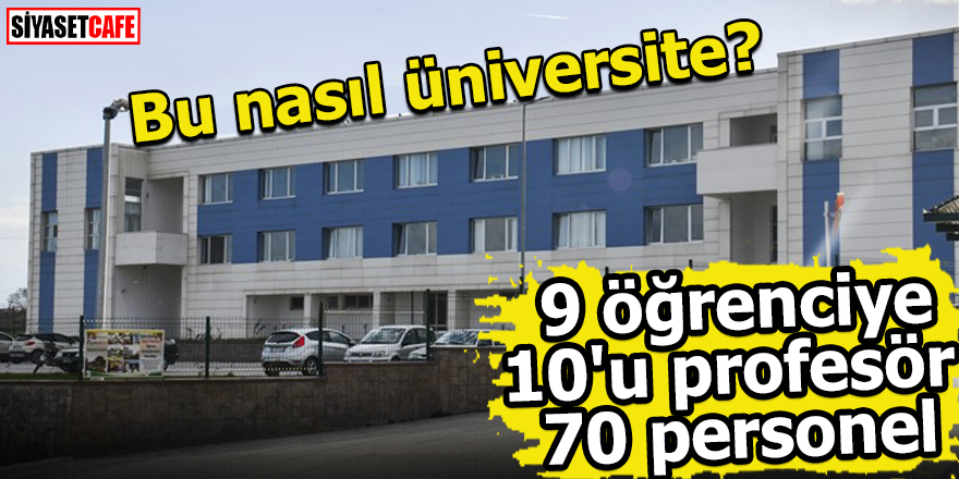 Bu nasıl üniversite? 9 öğrenciye 10'u profesör 70 personel