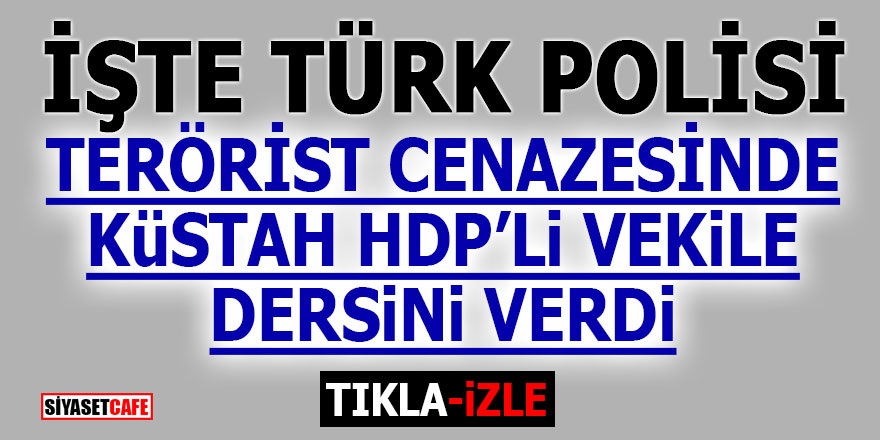 Türk Polisi HDP'li vekile dersini verdi