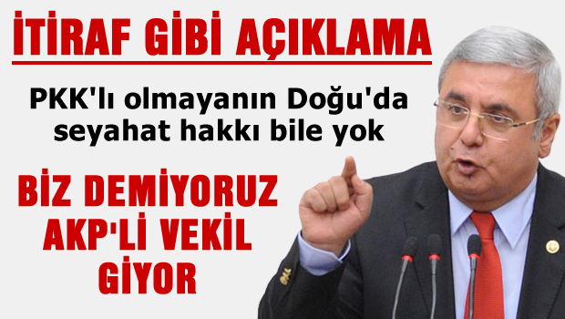 AKP'li vekil 'PKK'lı olmayanın doğu'da seyahat hakkı yoktur'